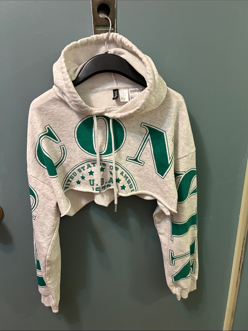 PINK Victoria's Secret Gray Cropped Hoodie with Green Graphic